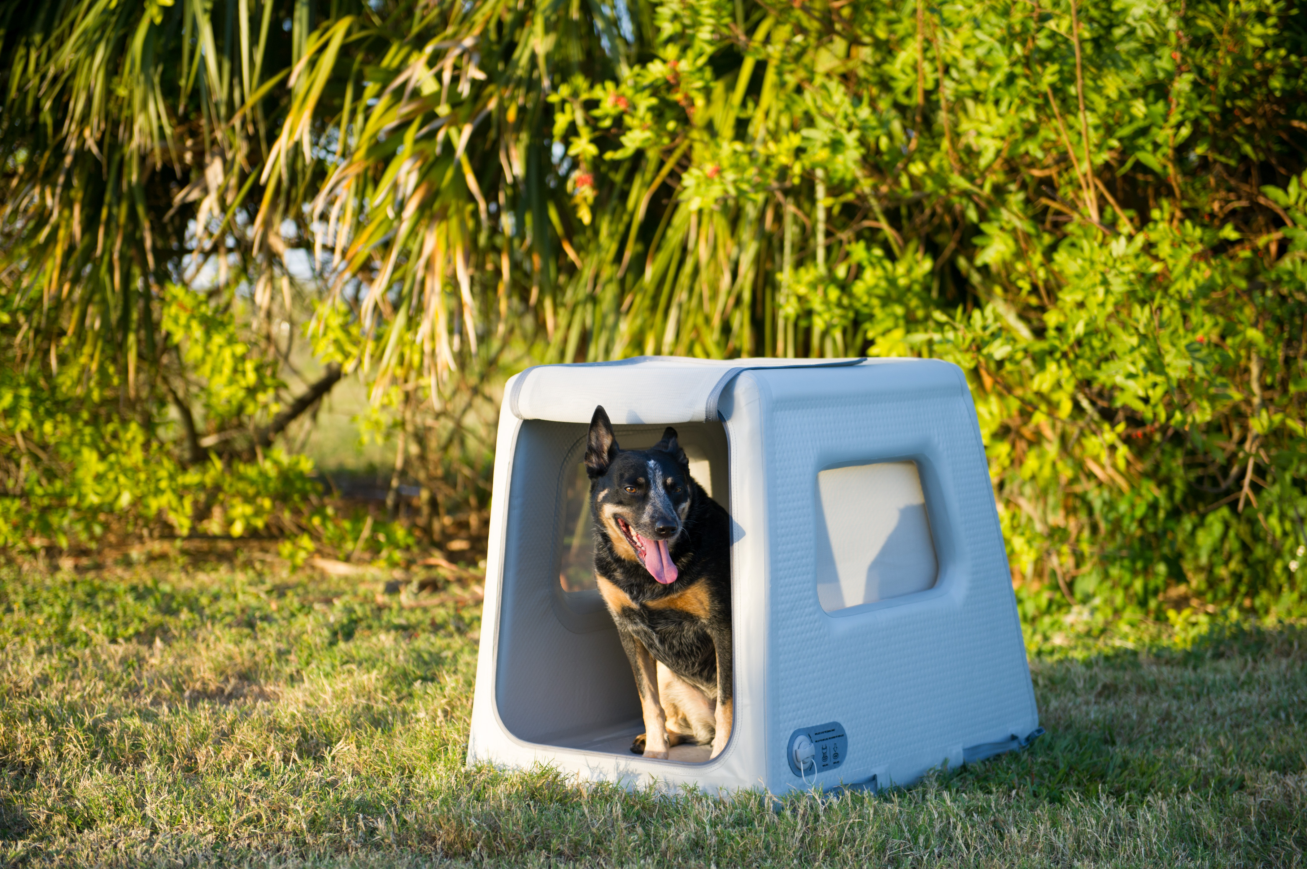 2 Enventur Diggs PENSA