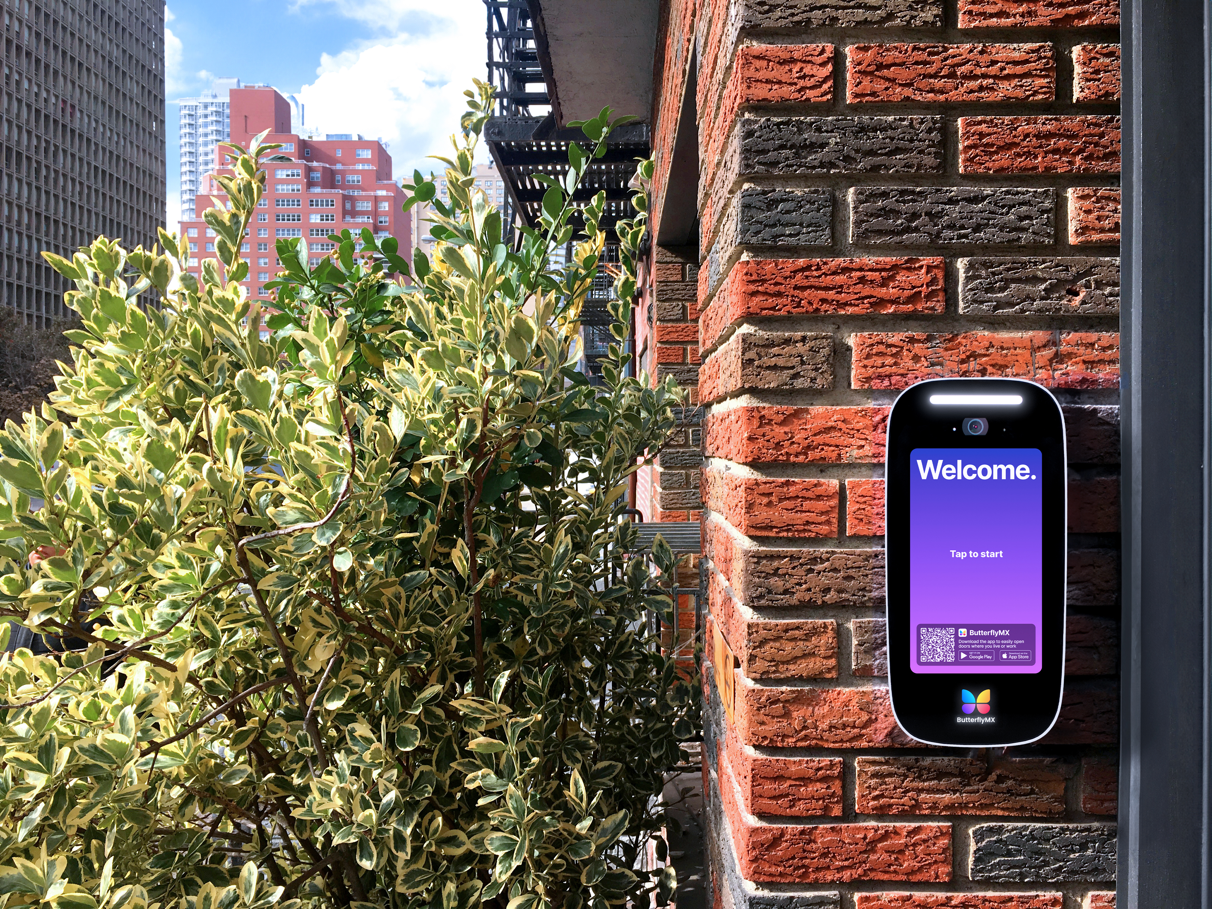 4 Butterfly MX PENSA