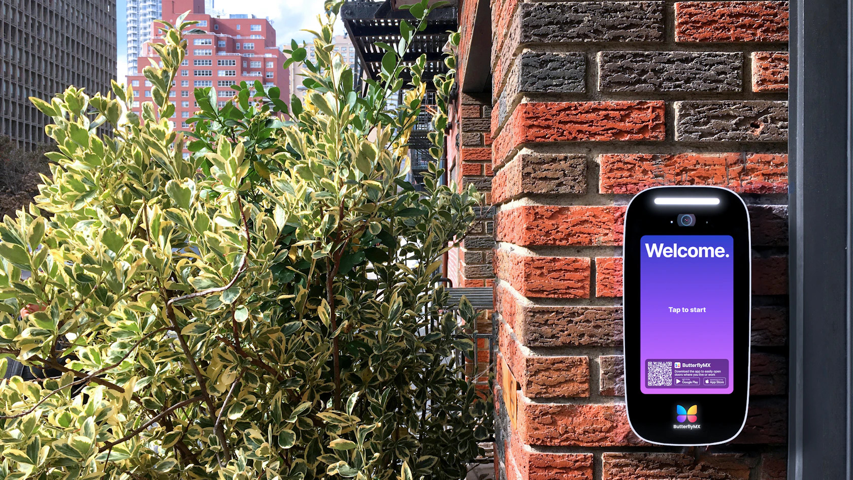 4 Butterfly MX PENSA