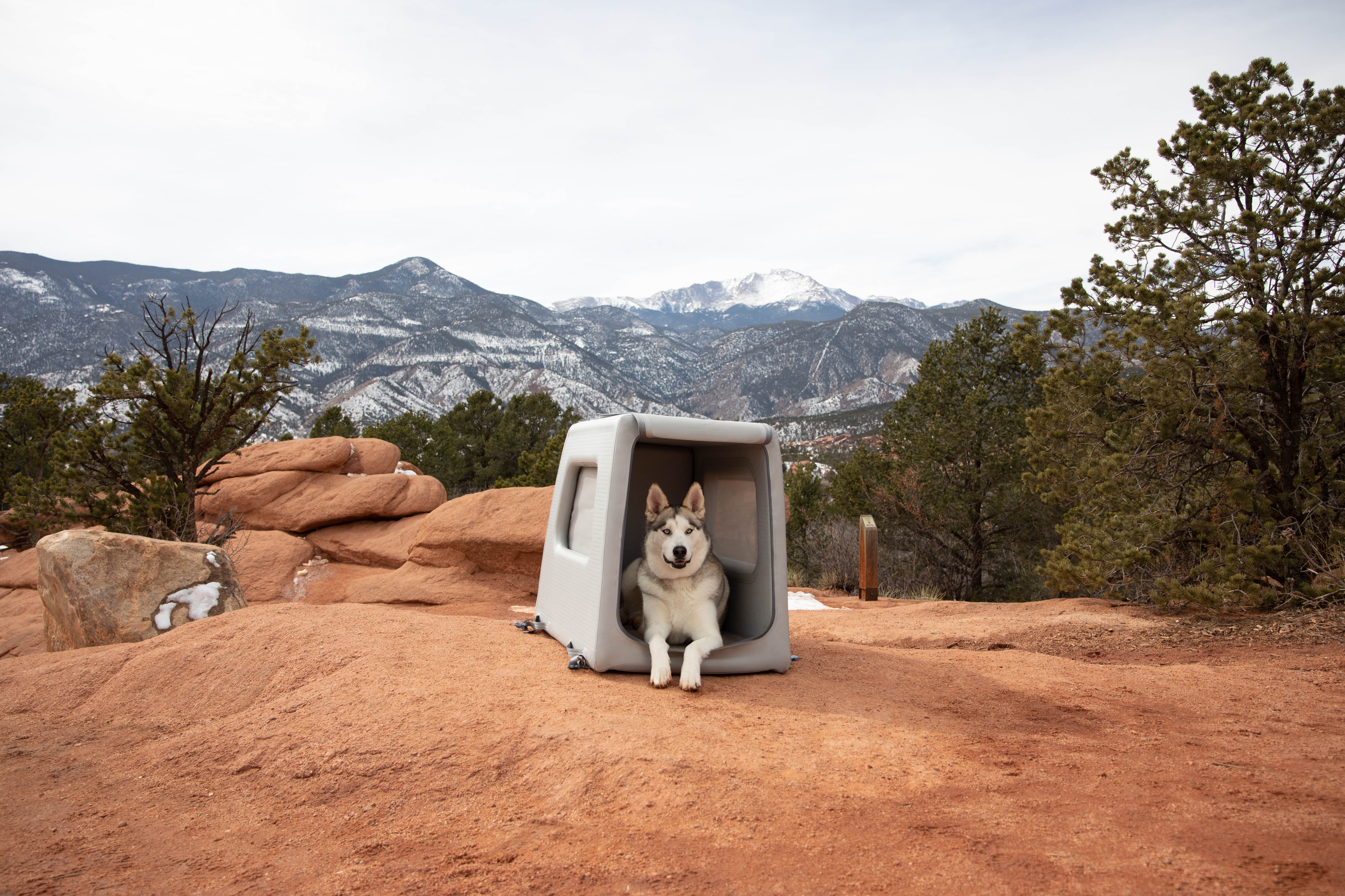 4 Enventur Diggs PENSA