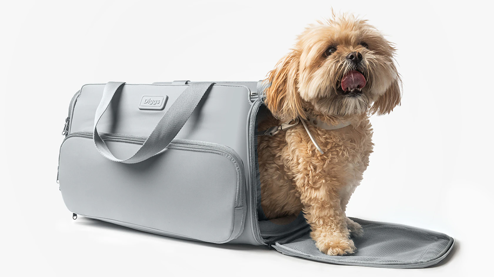 Diggs Passenger Pet Carrier 2