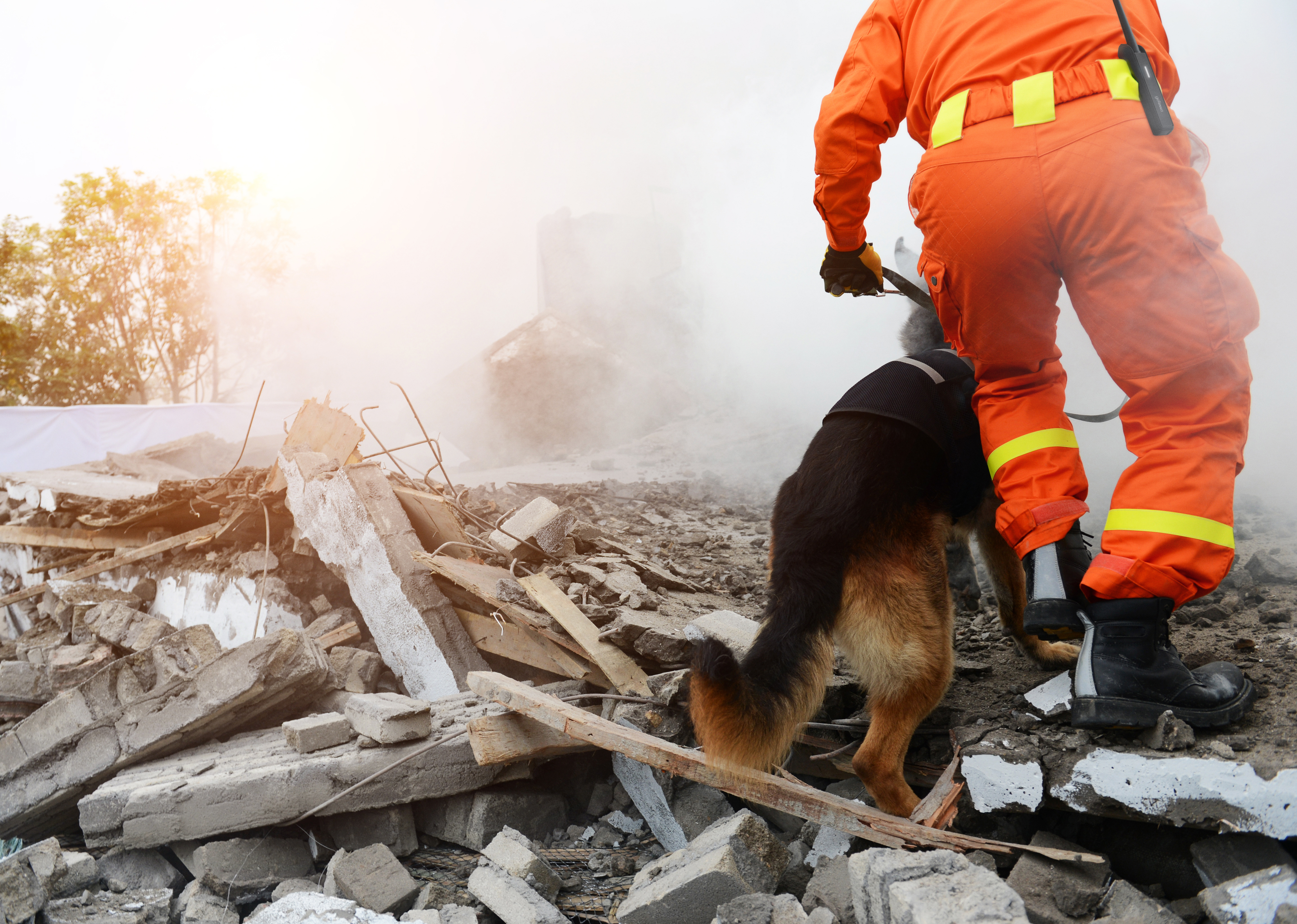 Pensa go Tenna Pro emergency