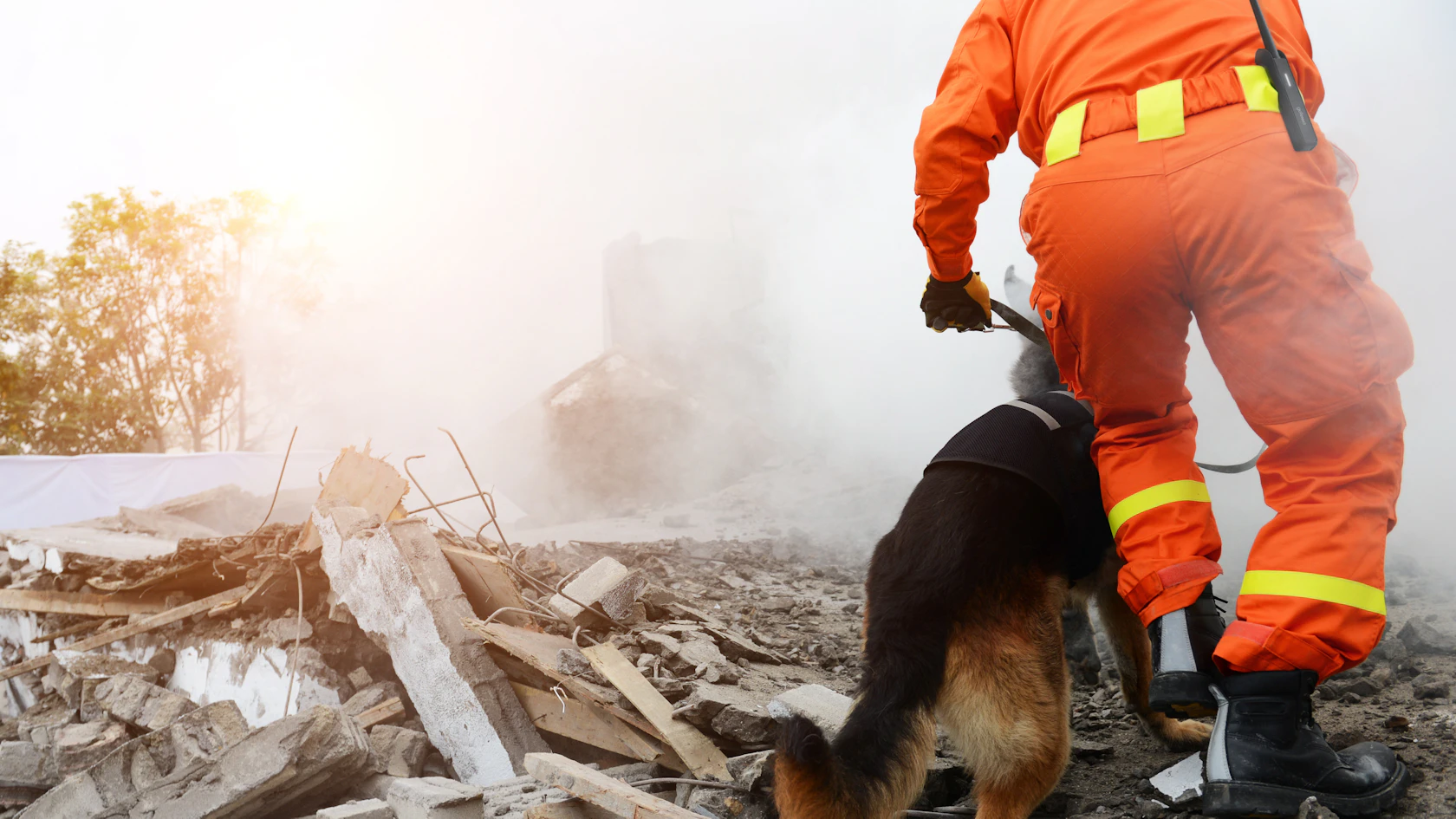 Pensa go Tenna Pro emergency