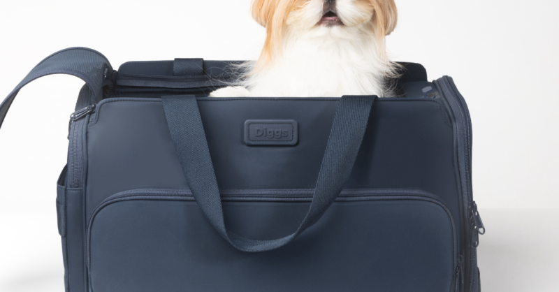 Pet voyage dog outlet carrier